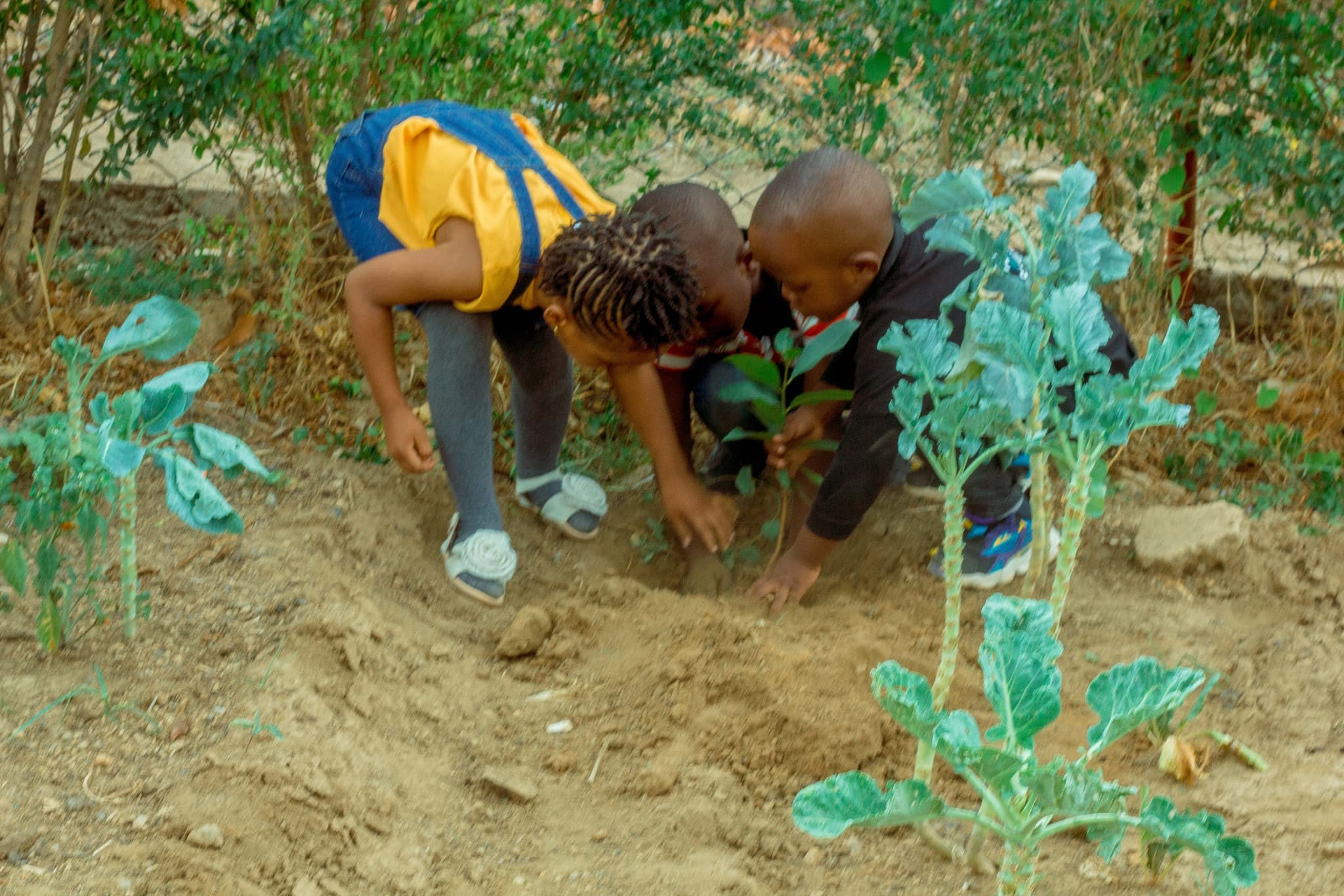 WeCare life skills and environment