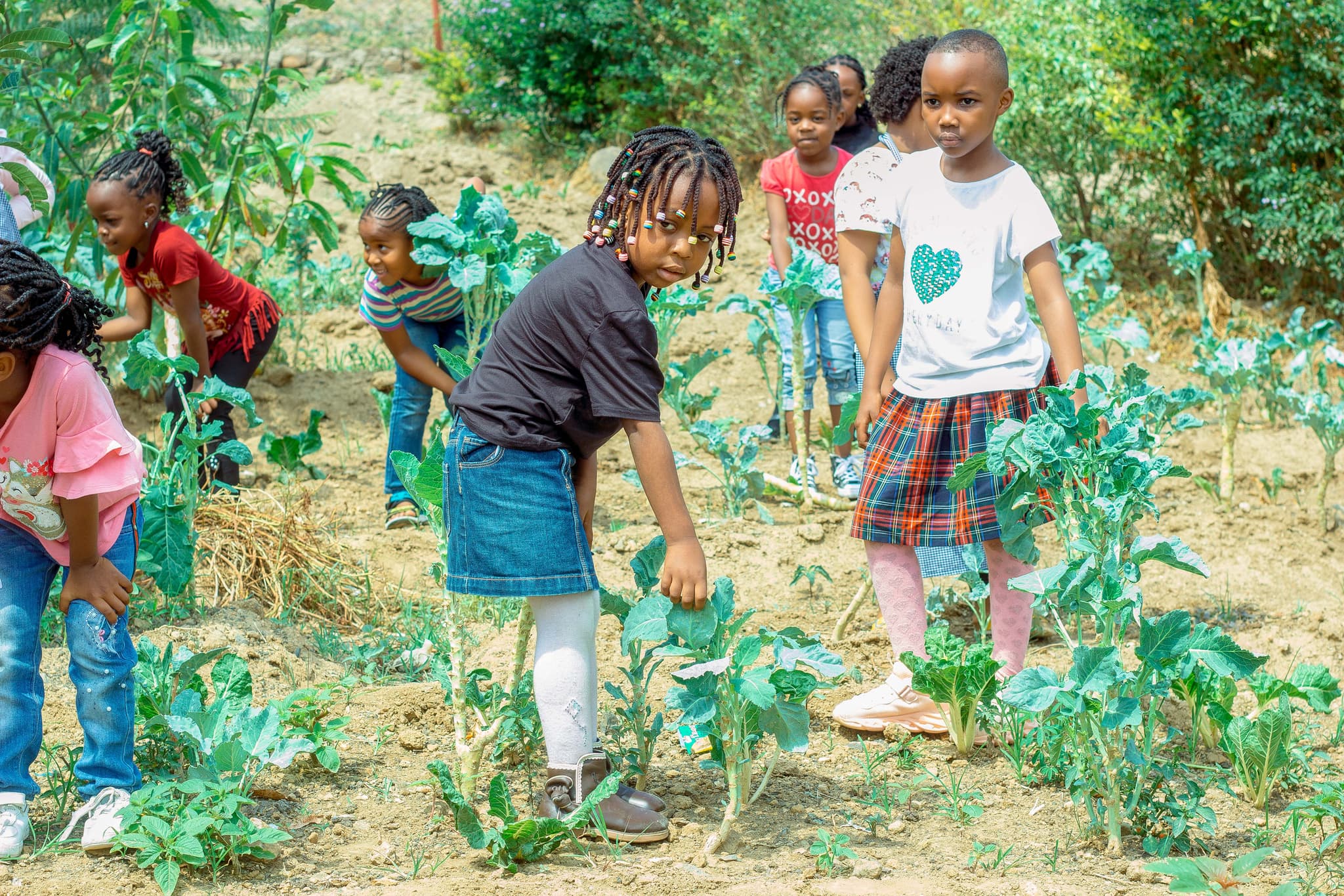 WeCare daycare and children